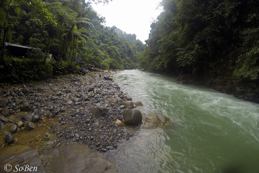 Indonésie - Camper au milieu des Orang Outans à Sumatra