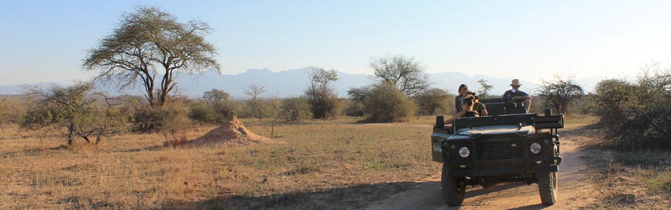 Voyage Découverte en Afrique du Sud - Les Plantes Magiques d’Afrique du  Sud