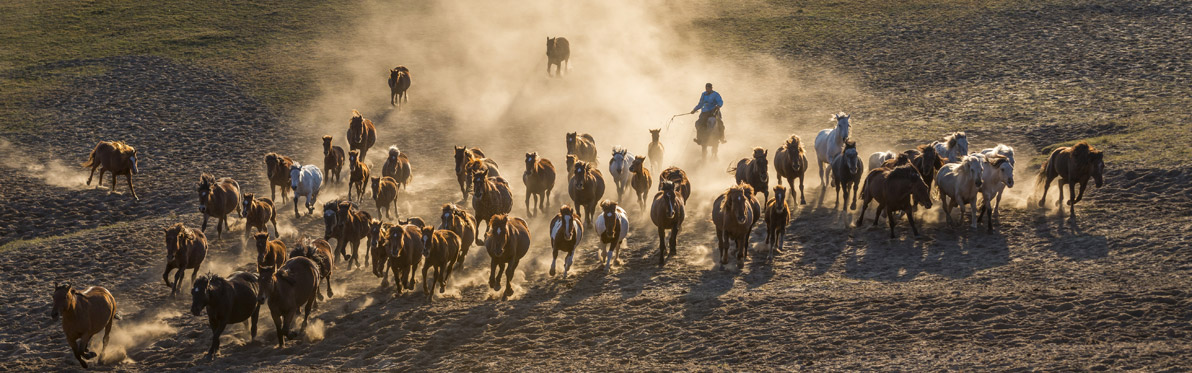 Voyage découverte en Chine - Les Grands Espaces de la Mongolie Intérieure