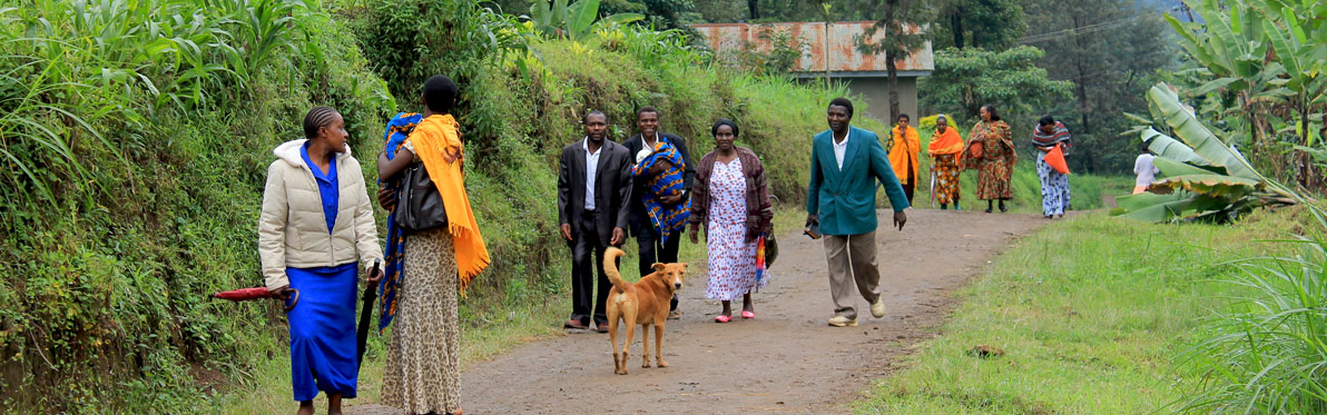 Voyage Découverte en Tanzanie - Rencontre avec les Chaggas