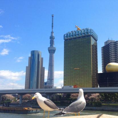 Visite de Tokyo : D'Asakusa à Shinjuku