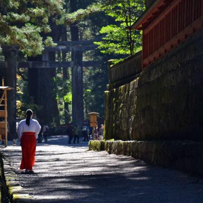 Visite de Tokyo : Excursion à Nikko