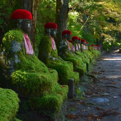 Visite de Tokyo : Excursion à Nikko