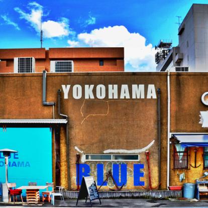 Tokyo Tour: Excursion to Yokohama