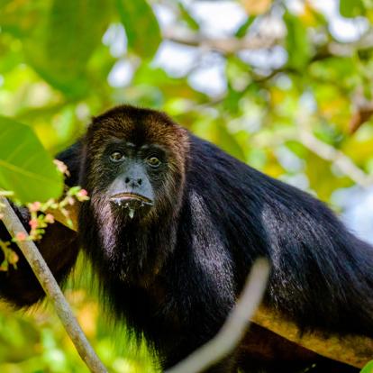 Voyage au Belize - Evasion Tropicale