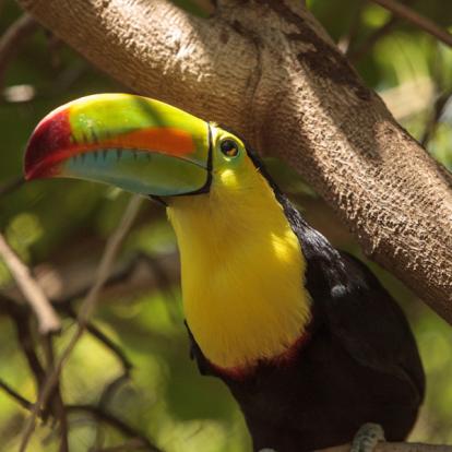 Voyage au Belize - Immersion Maya