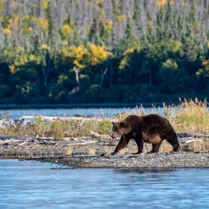 Circuit en Alaska - Destination Grand Ouest et Alaska