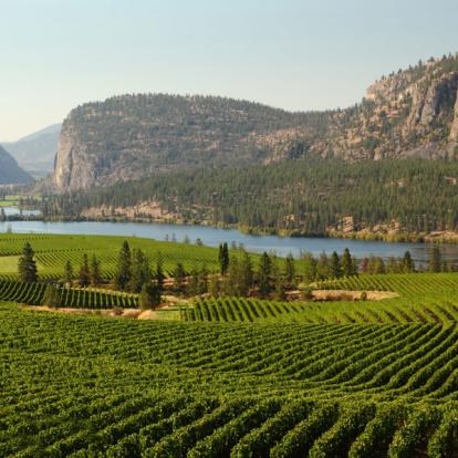 Circuit au Canada - Nature, vignobles et randonnées dans l'ouest