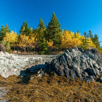 Voyage au Québec - Escapade au Québec et en Gaspésie