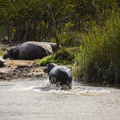 Voyage en Afrique du Sud - Le Trekker