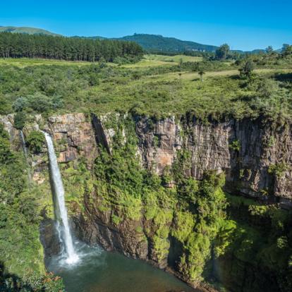 Voyage en Afrique du Sud - Safari à pied dans le Parc Kruger